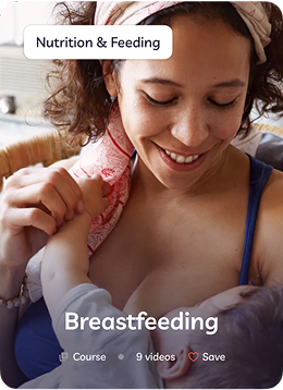 Content Library Stats - 245 Articles, 49 Videos, 13 Checklists, 8 Video Courses, 29 Collections